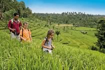 Bali, l'île des dieux Bali, l'île des dieux