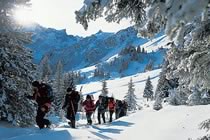 A l'ombre des cimes de l'Oberland A l'ombre des cimes de l'Oberland