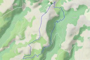 Trace gps Solitudes d'Aurelle Verlac Solitudes d'Aurelle Verlac