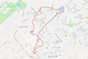 Balade près de Pessac
